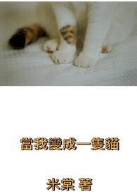 当我变成一只猫作文500字