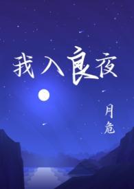 我走入你的良夜