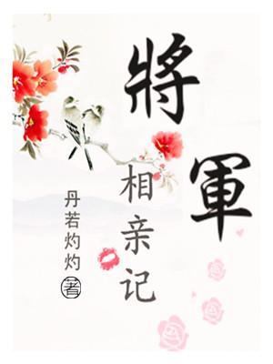 将军嫁给丞相的