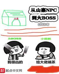 从山寨npc到大boss等级