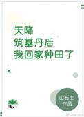 天降筑基我回家种田了格格党