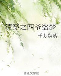 清穿之四爷盗梦全文阅读完结