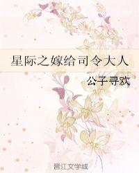 星际之嫁给司令大人讲什么