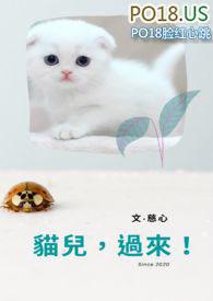 猫来了狗来了的儿歌