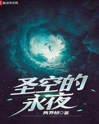 永夜圣尊全集完整版