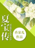 夏宝传ⅲ笔下文学