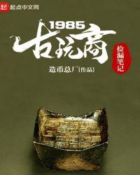 古玩商捡漏笔记1985阅读