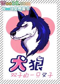 犬狼小天狼星车