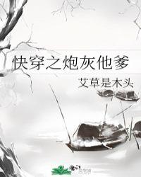 快穿之炮灰他爹全文阅读txt正版