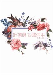 叶落落女主角名字