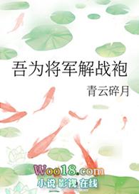 吾为将军解战袍免费阅读