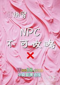 可以攻略npc