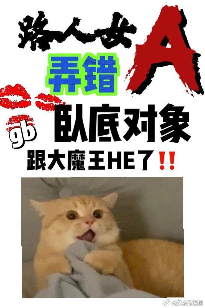 路人女A弄错卧底对象了text