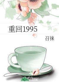 重回1995年