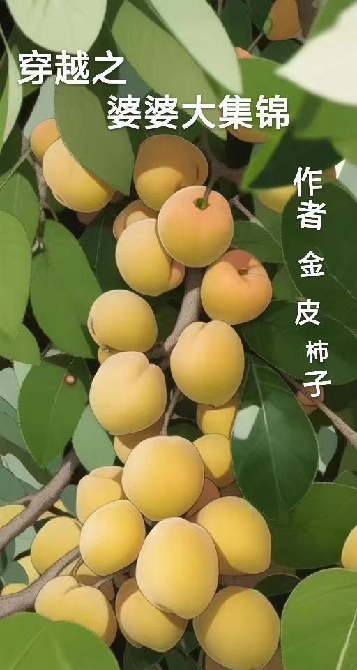 穿越之婆婆大集锦类似