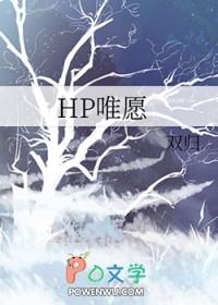 (hp同人)哈利波特的守护