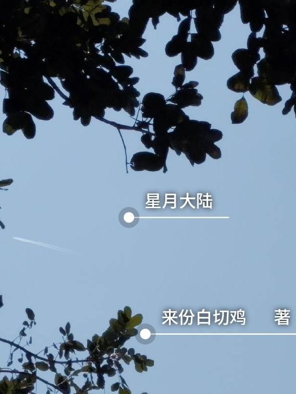 星月大陆叶天龙全文免费阅读