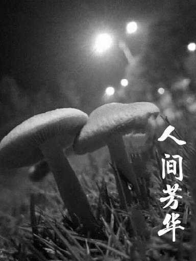 人间芳华下一句