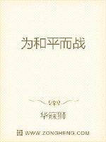 为和平而战 披挂勇敢