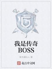 我是传奇bossTXT精校