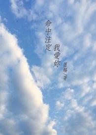 命中注定我爱你电视剧歌曲