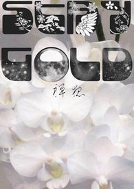 STAY gold的中文意思