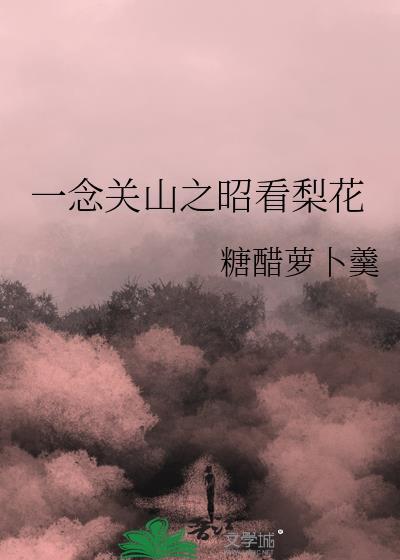 一念关山酒钱昭