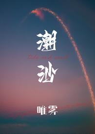 潮沙车道是什么意思