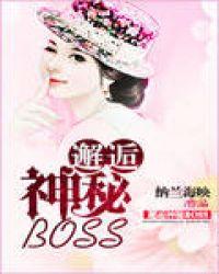 邂逅神秘BOSS